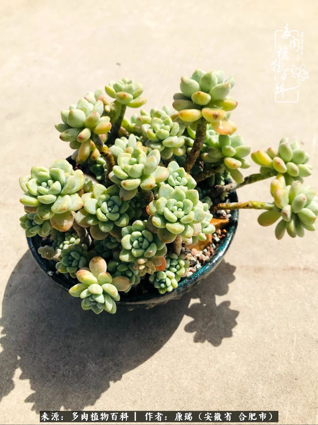 养肉之路，道阻且长，累的是身体，净的是心灵！