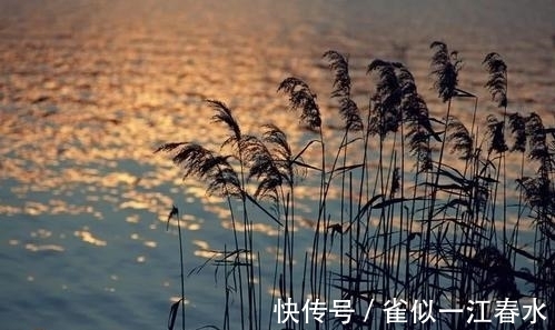 名作！陈毅水平高超的一首名作，写景如画，更显胸襟旷达