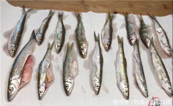 油温|煎鱼时，一定记得不要马上下锅煎，学会2个要点，鱼不粘锅不破皮