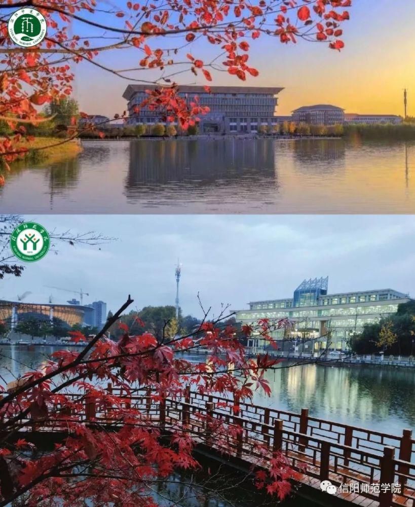 307.4公里！这是我见过最甜的异地恋！这对情侣火了！