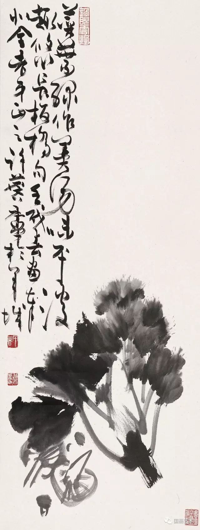 吴昌硕|许麟庐 写意花鸟画欣赏