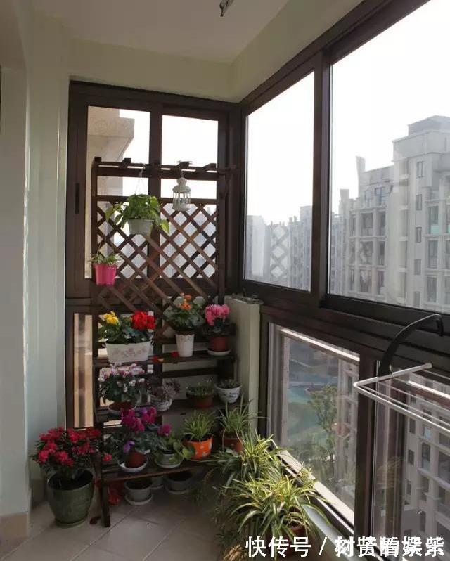 这才是我想要的阳台！种满花，有一个小憩的地方