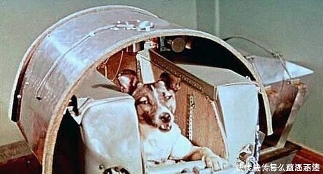 人类 源于德国的火箭研发技术,经过百年的发展,最终造福于全人类