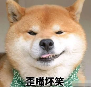 女主|千万别看这些智障小说!哈哈哈哈哈看完感觉智商受到侮辱哈哈哈哈哈哈