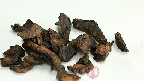 地黄的功效与作用及禁忌是什么