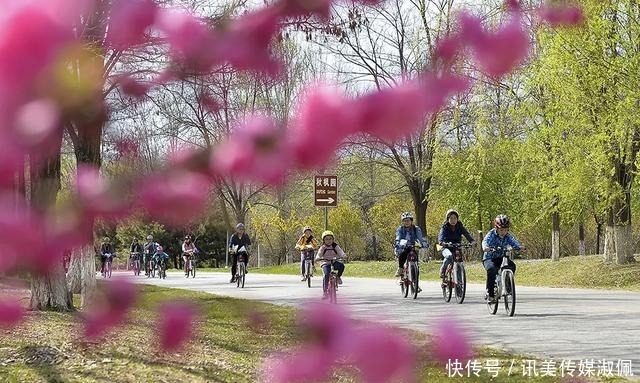 太苏胡！以这种方式春游，私享惬意唯美风光