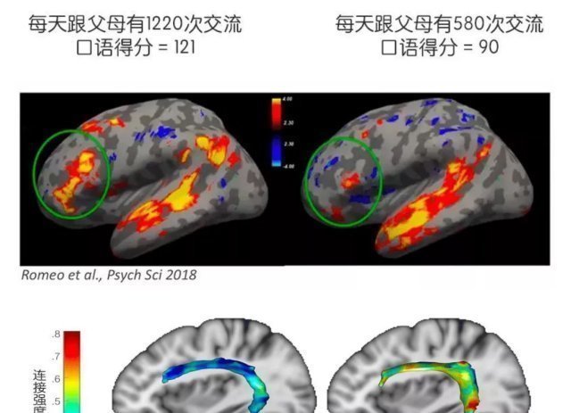孩子|孩子总是学习差,父母错过孩子大脑发育黄金期,却逼孩子加倍努力