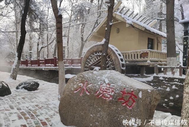 玉树琼花|玉树琼花，如梦如幻，乌鲁木齐这个公园冬天如人间仙境