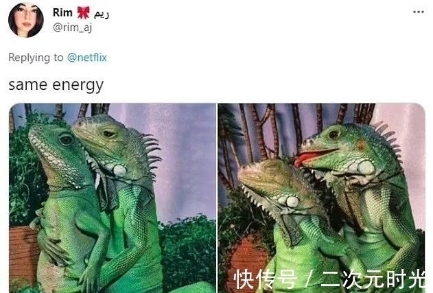 相亲节目|网飞新出狂野相亲节目，嘉宾全部打扮成性感野兽，不看脸只谈爱