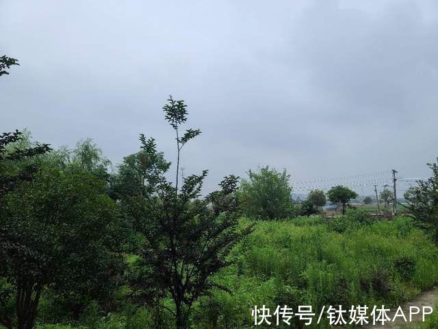 张大姐|半年时间，拍摄8省市10个案例，我们见到了这样的智能中国