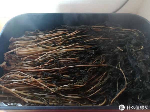 这菜不花钱，营养极高，很多人当垃圾扔，晒干了炖肉特香，别浪费