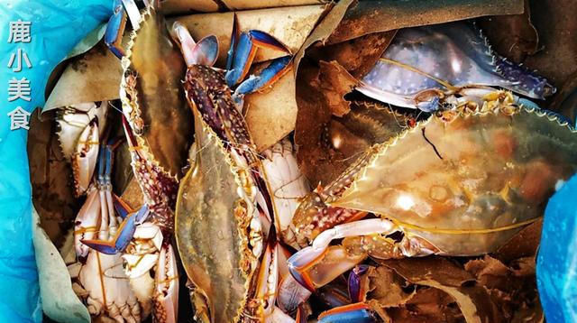 九雌十雄|梭子蟹不会挑鱼贩教你挑蟹小技巧,保证新鲜肉肥,一挑一个准