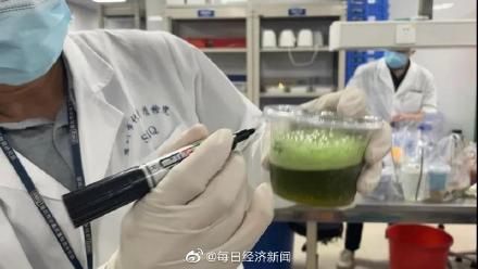 饮品|泰式茶饮等饮品检出合成色素日落黄