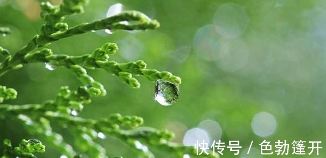 天德贵人|8月中下旬，好运不断，钱财大旺，万事皆顺心想事成的三大生肖