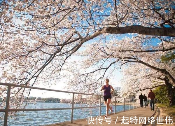 脂肪|慢跑前三十分钟消耗的是糖原不是脂肪，所以跑30分钟就没用？