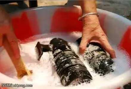 |搞笑图片幽默段子笑话很懒的一个妹子,起床洗漱不好么哈哈