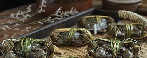 买螃蟹不要随便挑,牢记这4点,老板一看你就是行家,不敢忽悠你