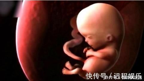 宝宝|孕早期,胎儿3个月都在忙些什么?看完心都被他萌酥了