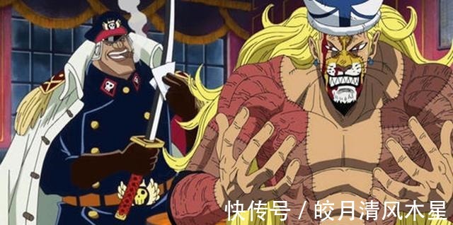 果实|最适合索隆的恶魔果实是什么索隆不需要输出型果实,需要这个