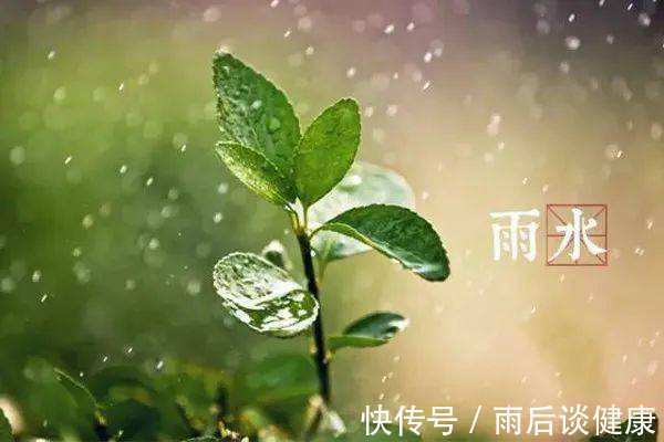 雨水|雨水到!去湿防寒正当时!教你3招养生重点,为健康开个好头!