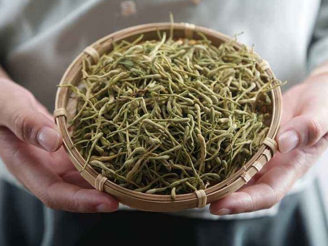 绿豆|金银花人称“铺中仙”,抓一把用做食疗,就是天然的“抗生素”