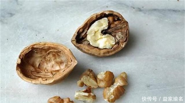 核桃壳|养君子兰,添3“东西”,解决3“难题”,叶子常年油绿发亮