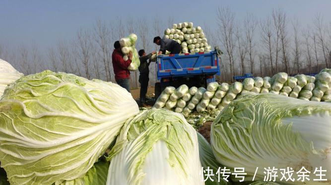 应急储备买哪些?这5类值得买,有备无患,才能安享卧榻之安