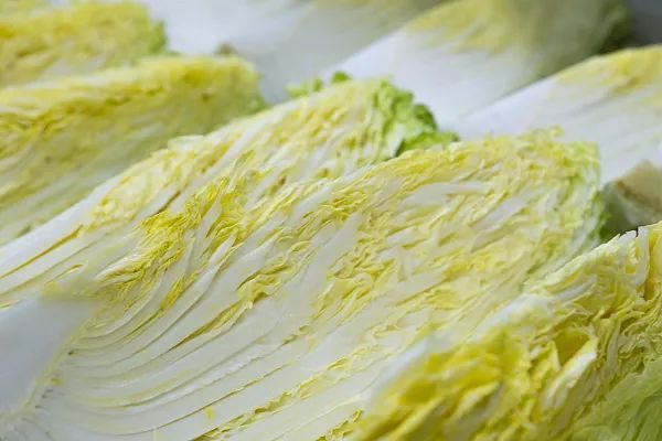 松子仁|你不知道的养生秘诀!