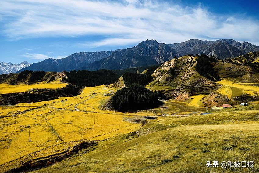 祁连山|秋色浸染祁连山，大都麻色彩斑斓惹人醉