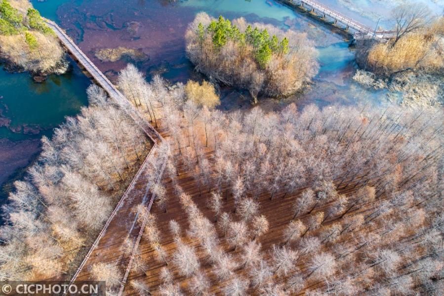 江苏淮安：天然氧吧古淮河国家湿地公园