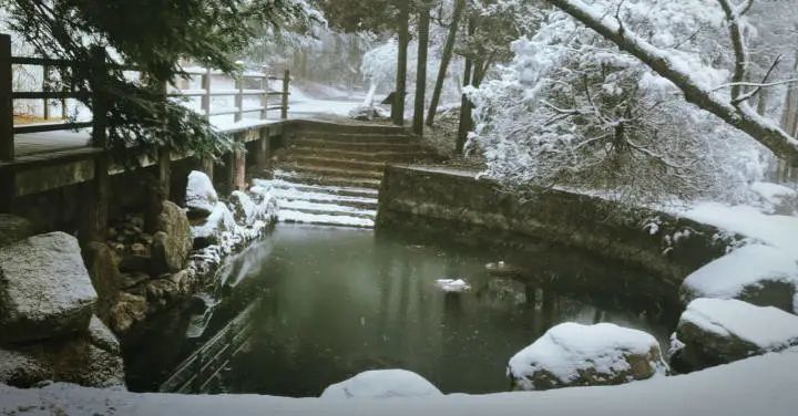 天目山景区|美如仙境！杭州、宁波下雪了，朋友圈看雪走起~