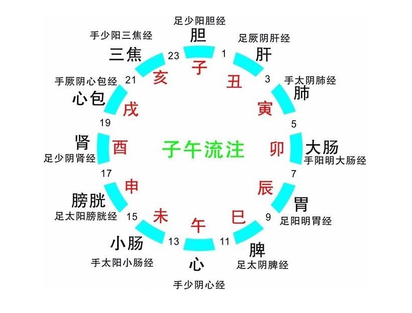 24节气|每天几点起床最佳老中医告诉你,这个时间点起床更有助阳气生发