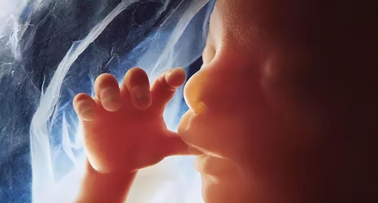 胎儿|为什么胎儿晚上比白天活跃？准妈妈多留意，胎动频繁的原因有三
