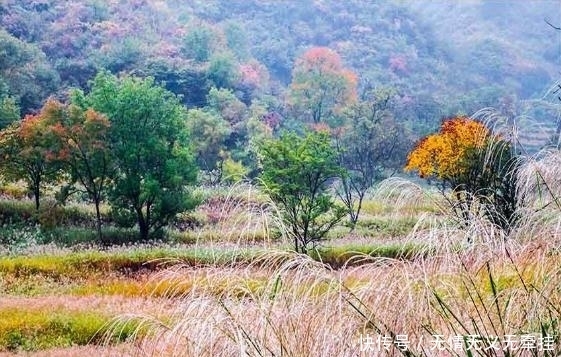 这个5A景区边的优美山地，被誉为河南九寨沟，趁未收门票赶紧去