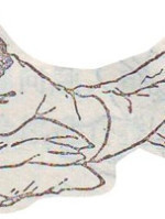 腰间盘突出!用这个简单方法,见效快!不花钱,在家就能自我治疗