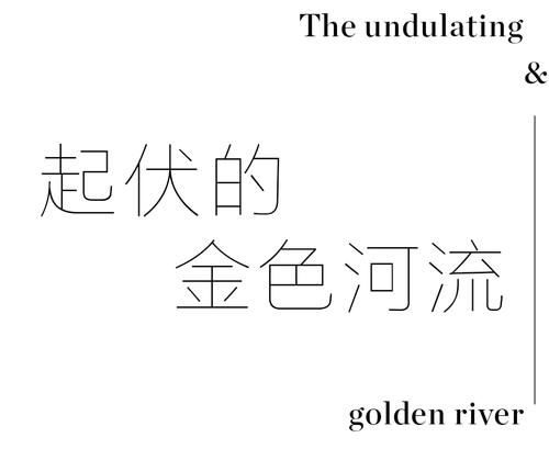 从「头」开始，追逐生活之美