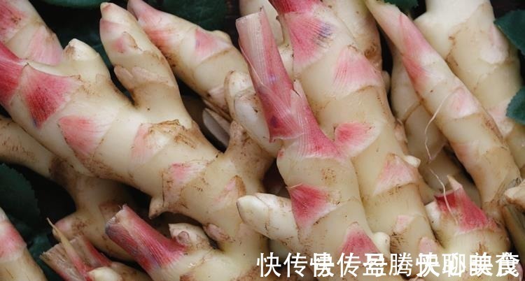 醋泡姜|夏天要常吃生姜,和醋是绝配,我家每周吃3回,很多人不懂有啥用