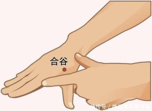 中医养生,失眠、胃病、咽炎、祛湿气,按揉此处穴位,立马见效