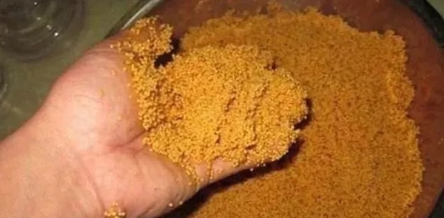 蚯蚓上鱼太慢?教你3种“作弊”的方法,鱼获轻松翻2倍!