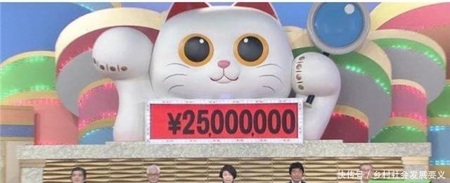 日本专家鉴宝,估价2500万日元,实际却是中国大妈的作品