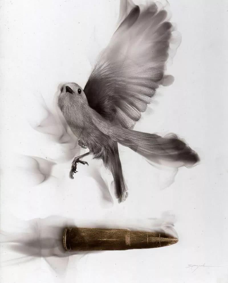 感到|理科生我们不画则已,一画就会让美术生都感到害怕