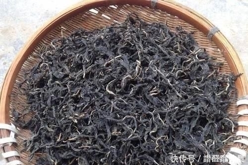 宝贝|很多人只吃种子，实际上叶子才是宝贝，现如今20元1斤供不应求