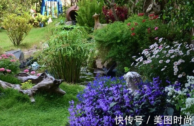 三角梅|120㎡别墅花园改造,经过三年的努力,小院从荒地到花开满园