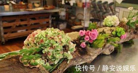 老公不听劝非要把树枝当花盆,邻居都看不起,结果却傻眼了!