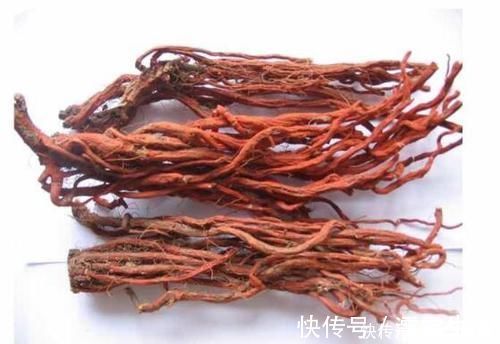 脘腹胁痛|三七和丹参,哪个通血管效果更好?今天就给大家科普一下!