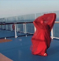 |搞笑GIF：太不像话了 我等了这么久你居然给我看这个