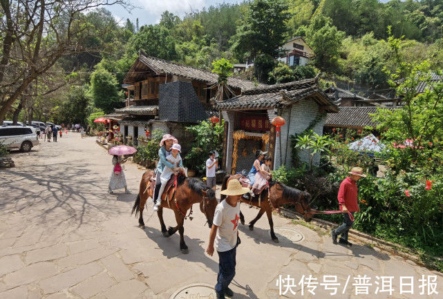 农家小院|宁洱县：“农旅融合”绘就村美民富新画卷