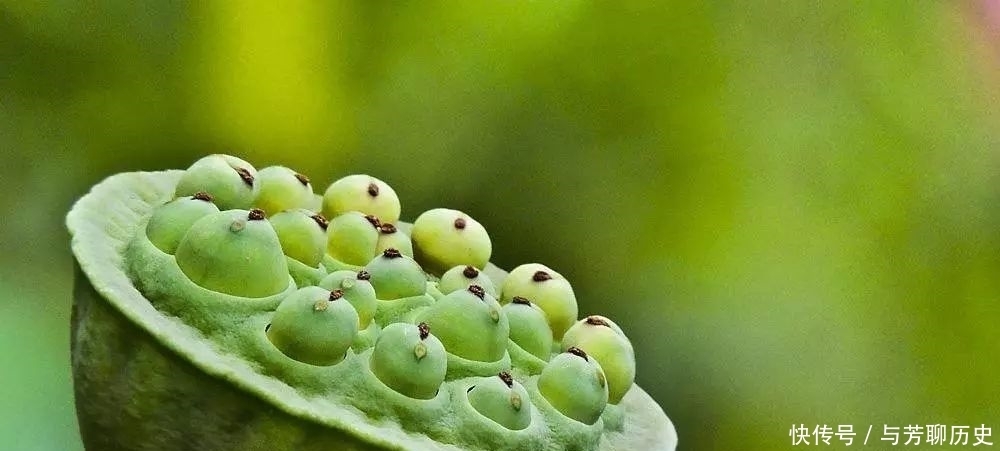 老祖宗|老祖宗的经验:福报到家,通常有这三个“喜兆”