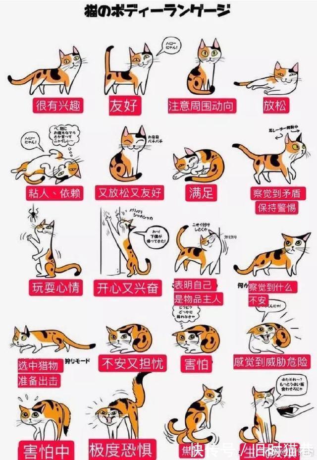 |医生好难，还要免费在线代做作业  冷段子1421 & 去年今日1111