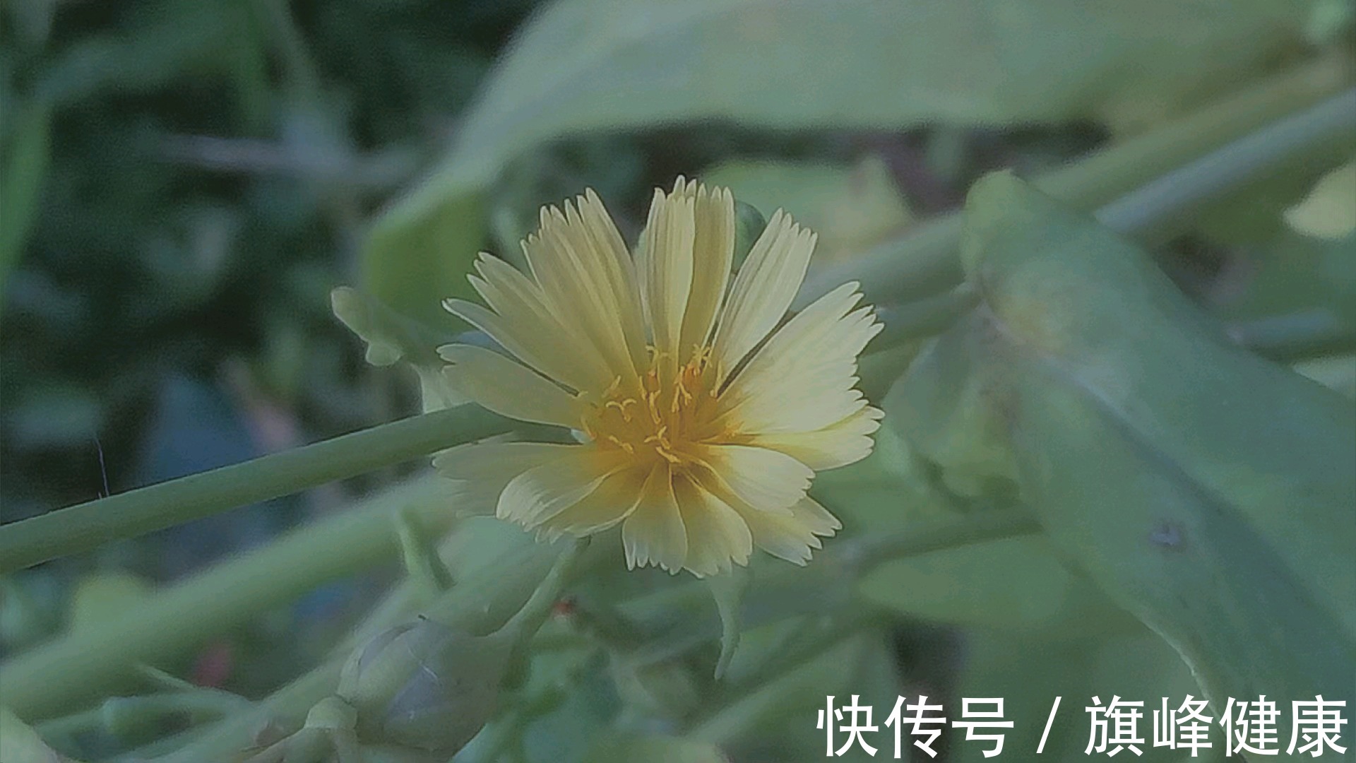 痛苦|长期玩手机,容易带来这样的痛苦